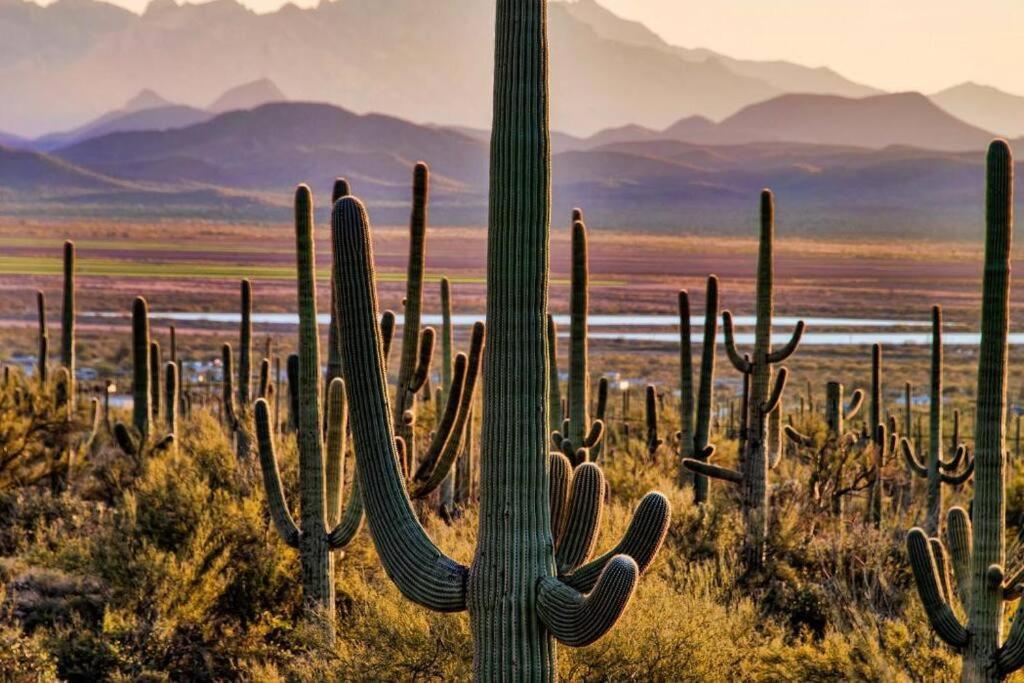 Tucson The Greens! 3Br Apt W/ Pool & Spa Экстерьер фото